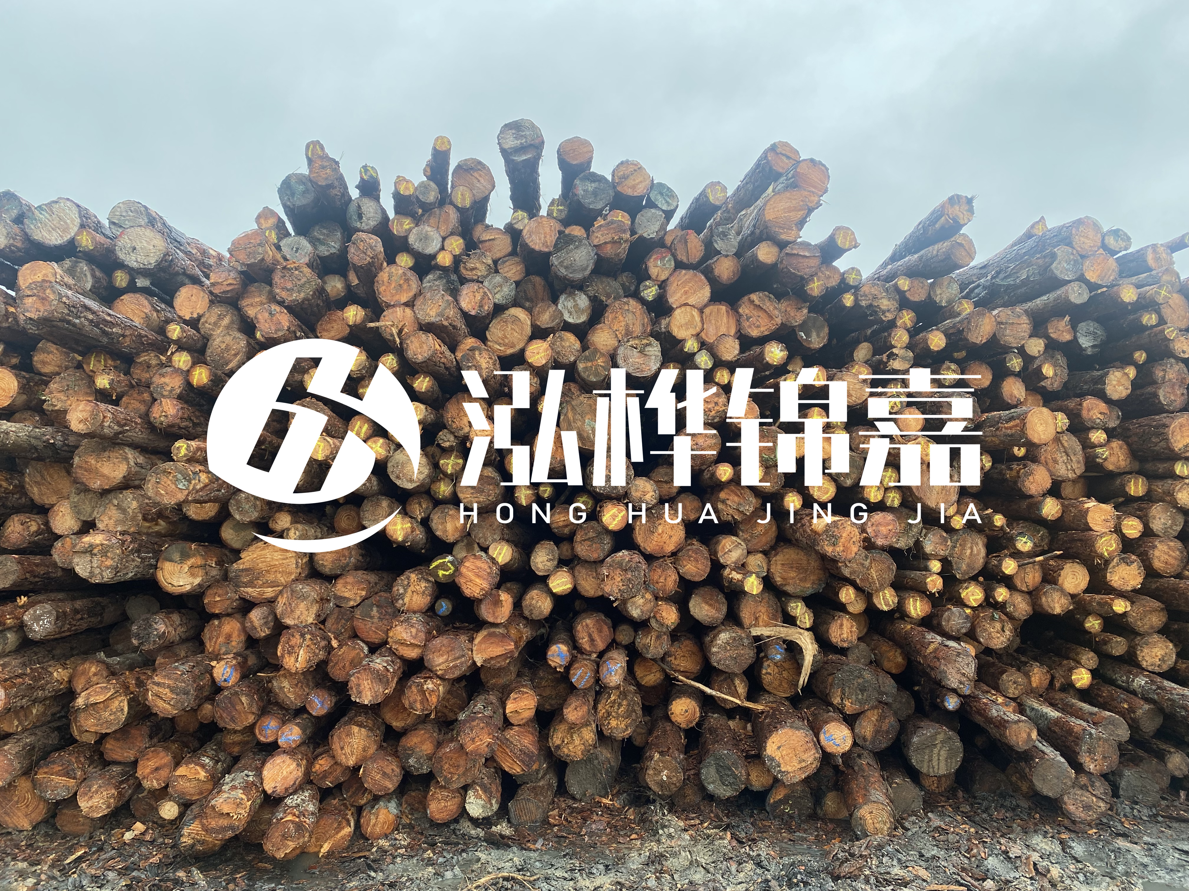 松木樁的直徑一般取多少？