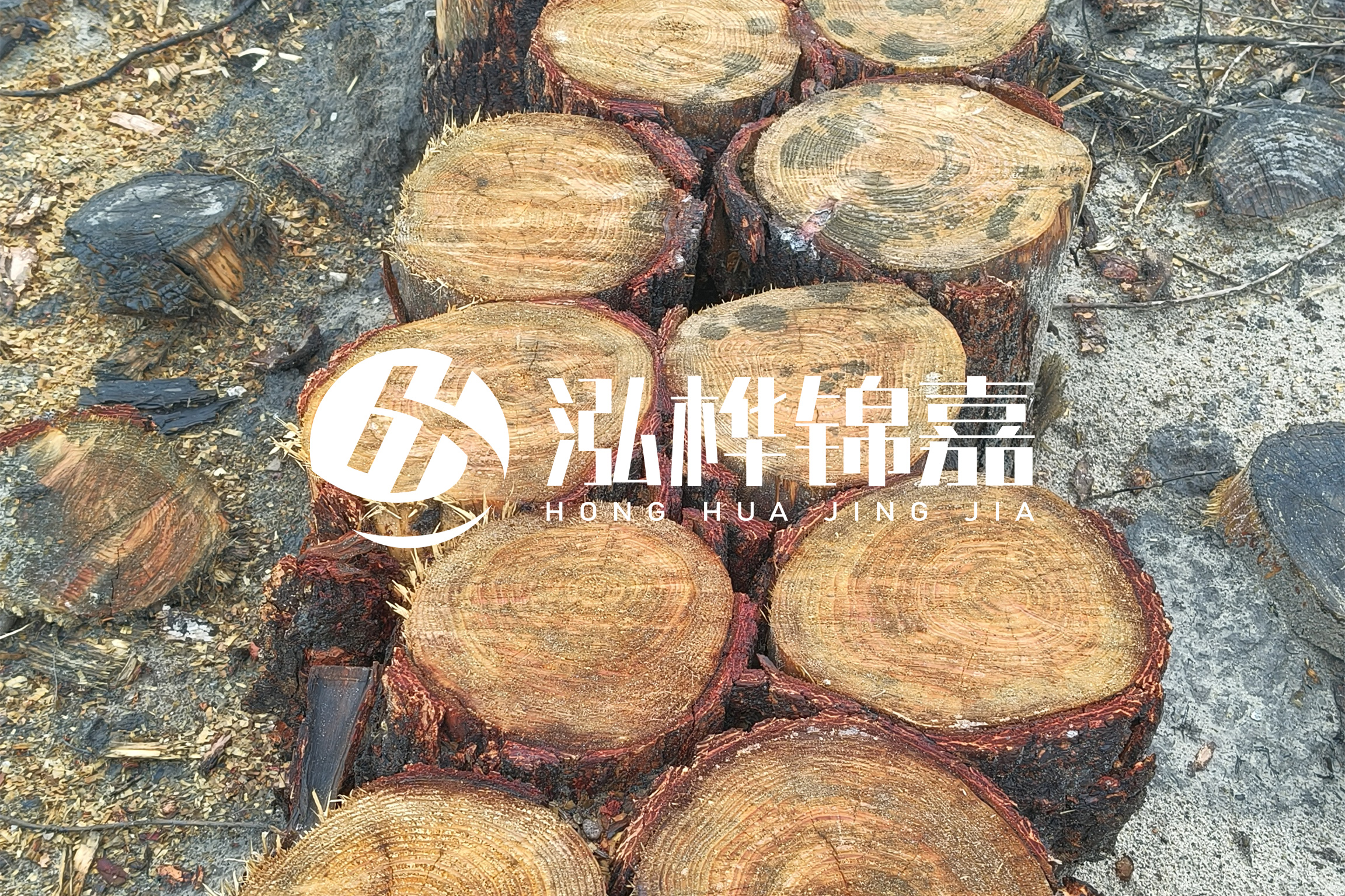 浙江臺州有清淤的公司嗎？浙江臺州有清淤施工隊嗎？