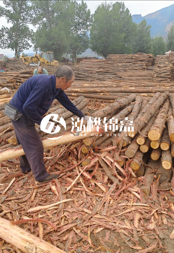 九江河底清理淤泥施工隊-河道清淤85元一方能干嗎？