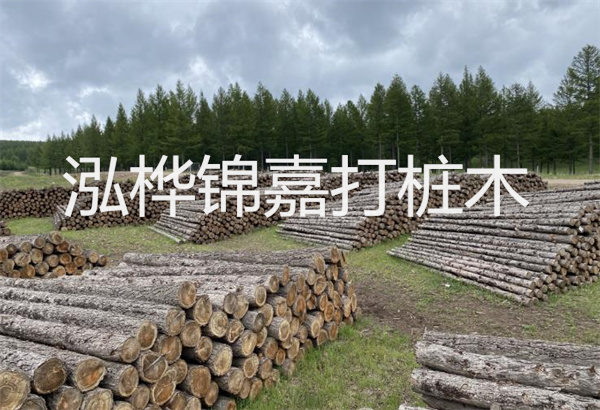 松木樁圖紙施工講解，打造穩(wěn)固堅實的建筑基礎(chǔ)