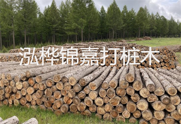 松木樁能施工嗎？探究視頻揭秘真相！