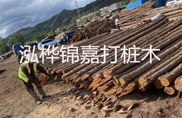 松木樁施工規(guī)范最新解讀！