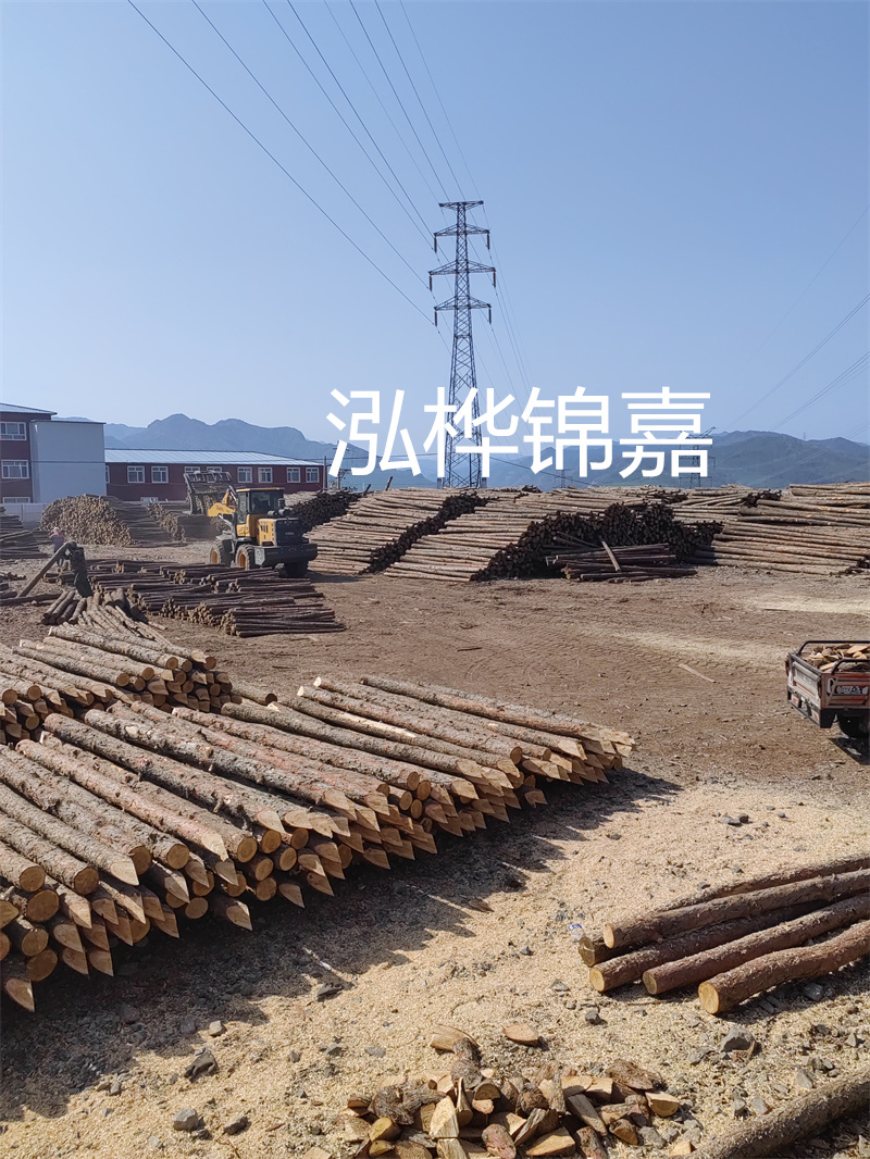 廣州杉木原木收購(gòu)廠—專業(yè)、可靠的原木收購(gòu)商