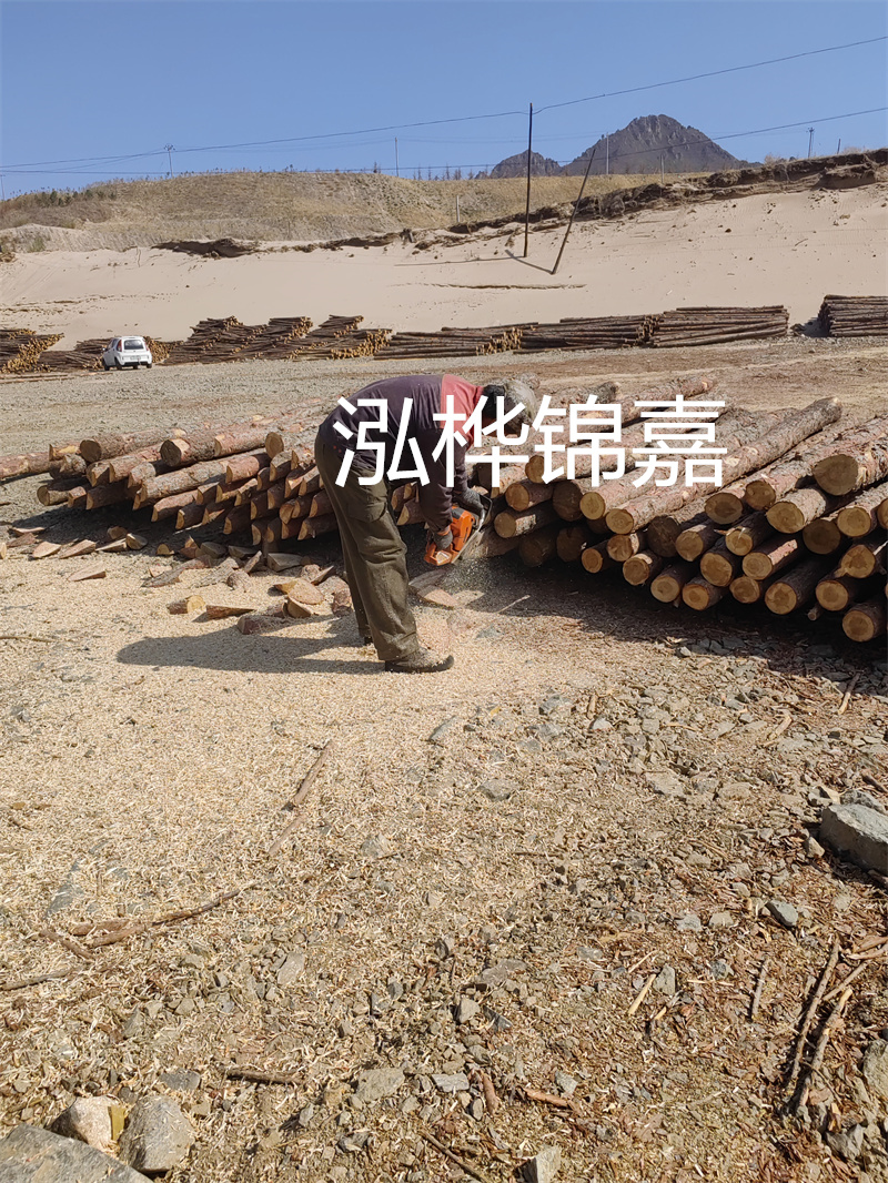 松木樁駁岸施工，打造水上風(fēng)景線
