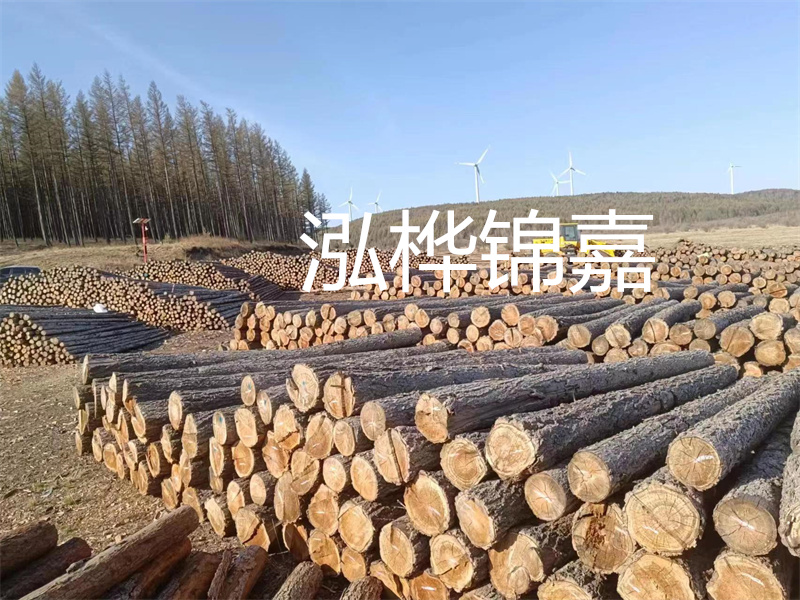 松木樁河道施工的關(guān)鍵步驟和注意事項
